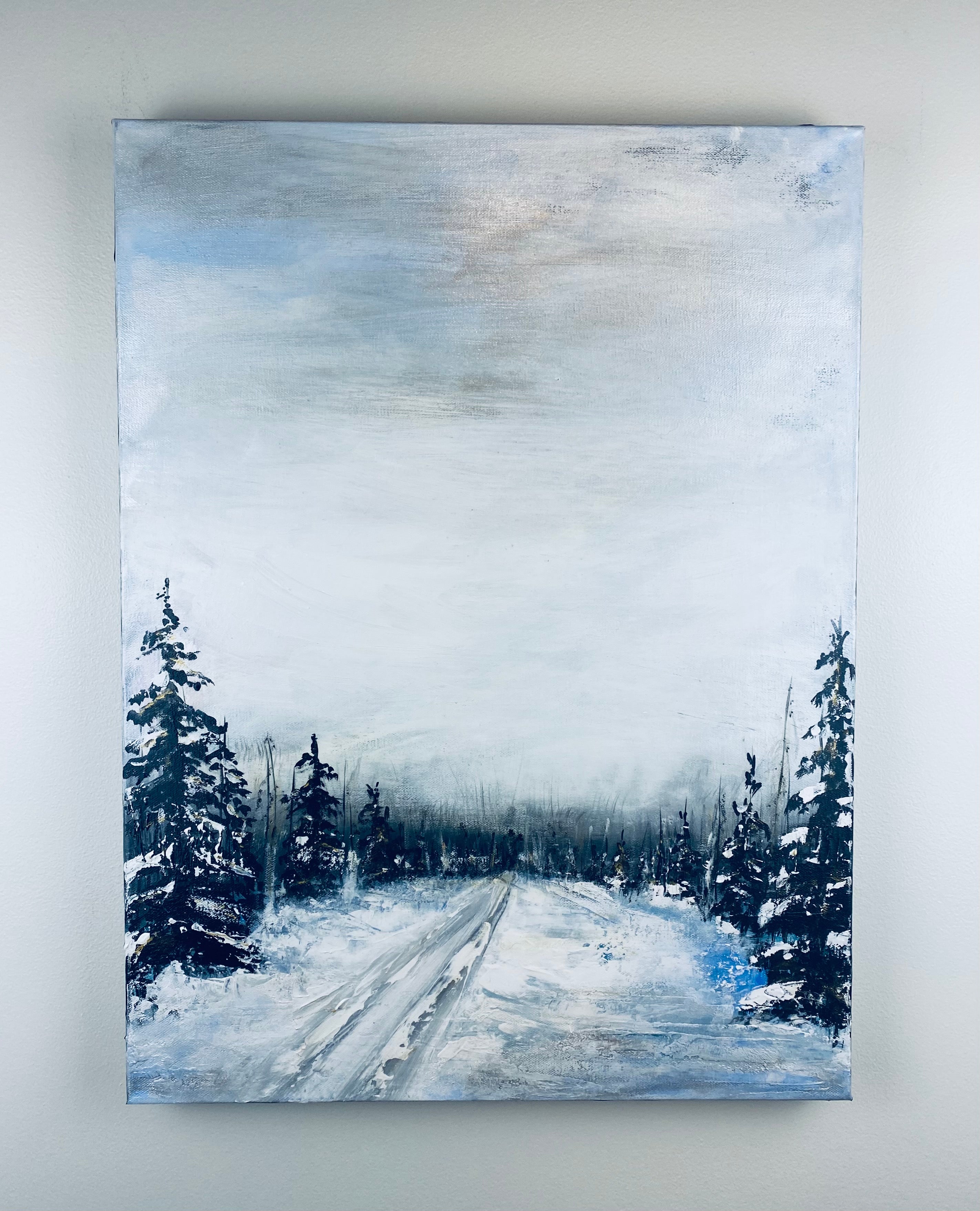SILVER SKY IN NUNAVUT