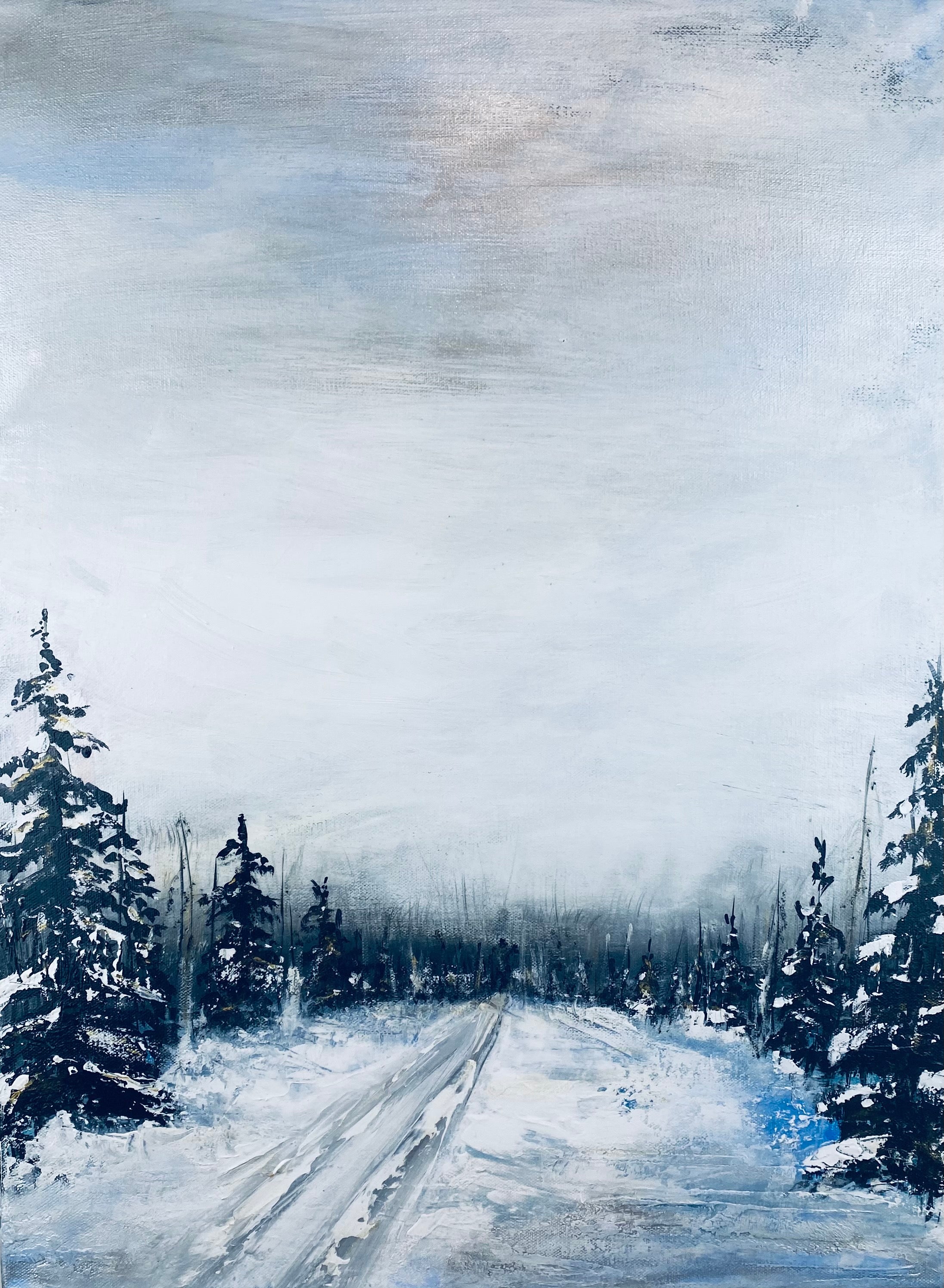 SILVER SKY IN NUNAVUT