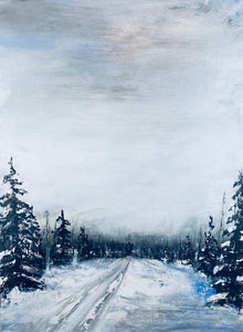 SILVER SKY IN NUNAVUT